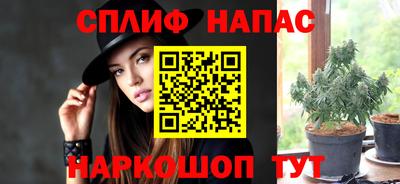 стафф Нальчик